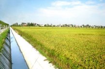 土壤墑情監(jiān)測系統(tǒng)主要有哪些優(yōu)勢？